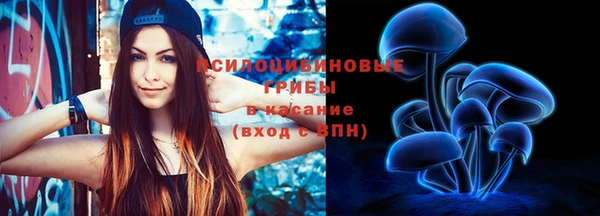 гидропоника Бугульма