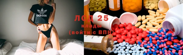 PSILOCYBIN Бронницы
