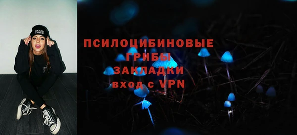 гидропоника Бугульма