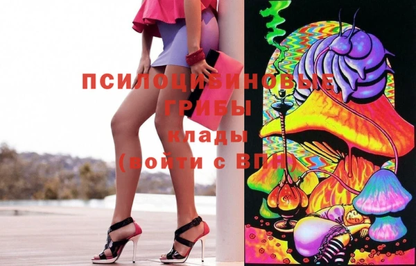 гидропоника Бугульма