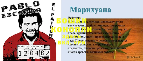PSILOCYBIN Бронницы