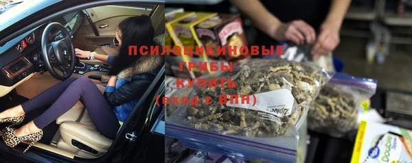 PSILOCYBIN Бронницы