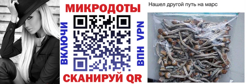 Купить где  Купино  Галлюциногенные грибы мухоморы 